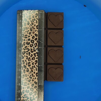 Chocolate Bar Mold - image4